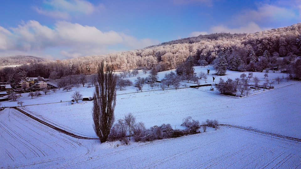 A drone image