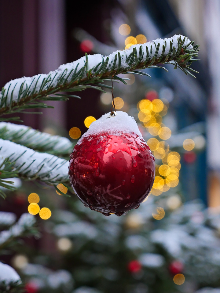 Xmas in town
