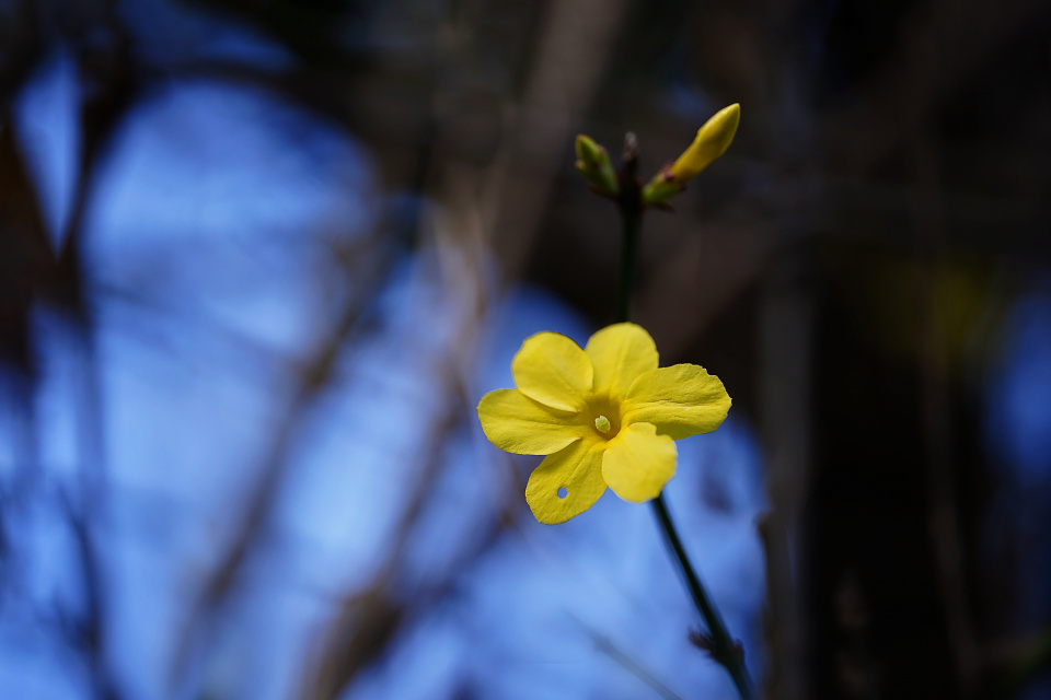 Hello spring!