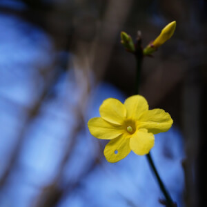 Hello spring!