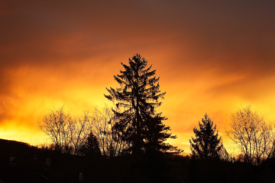Sunrise