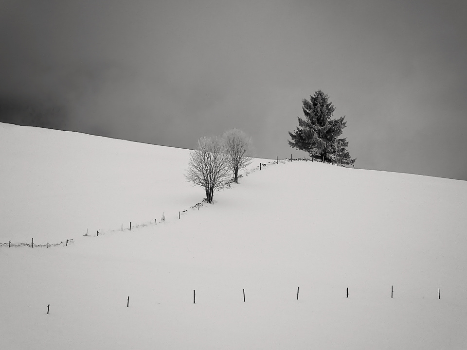 Out in the snow