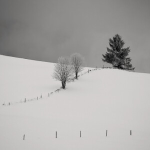 Out in the snow