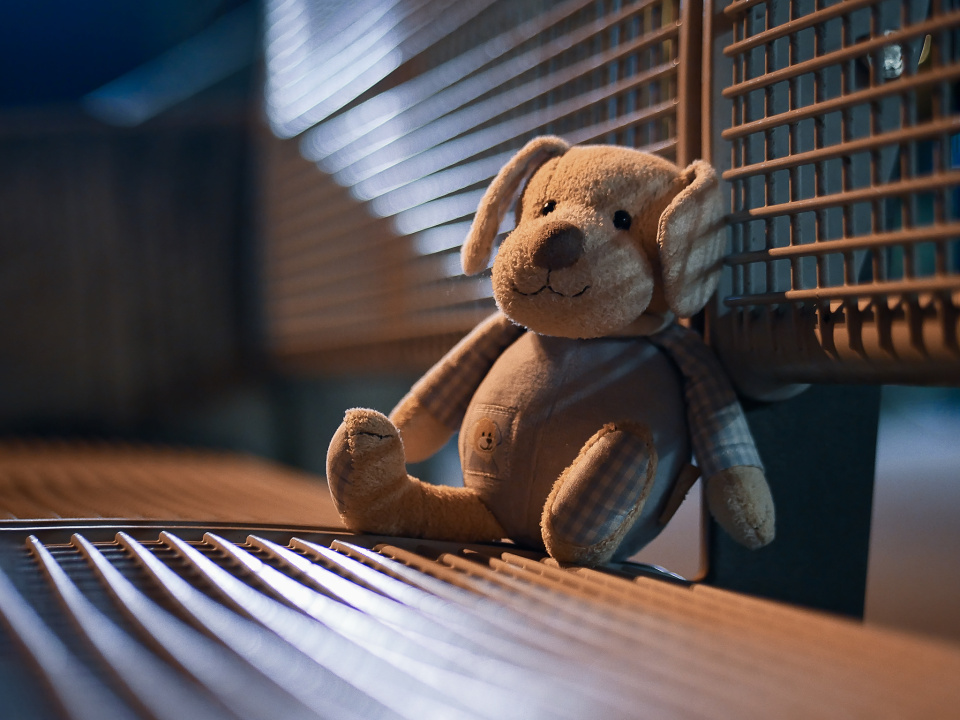 A lost toy