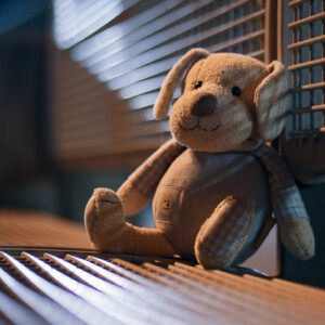 A lost toy