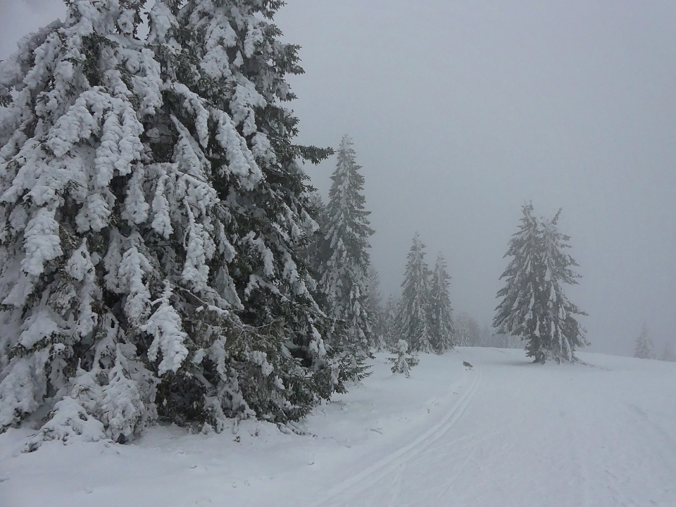 A foggy day