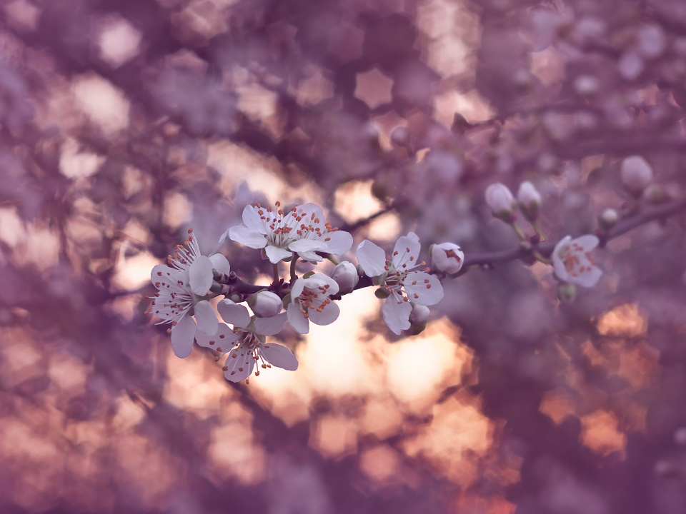 A beautiful day