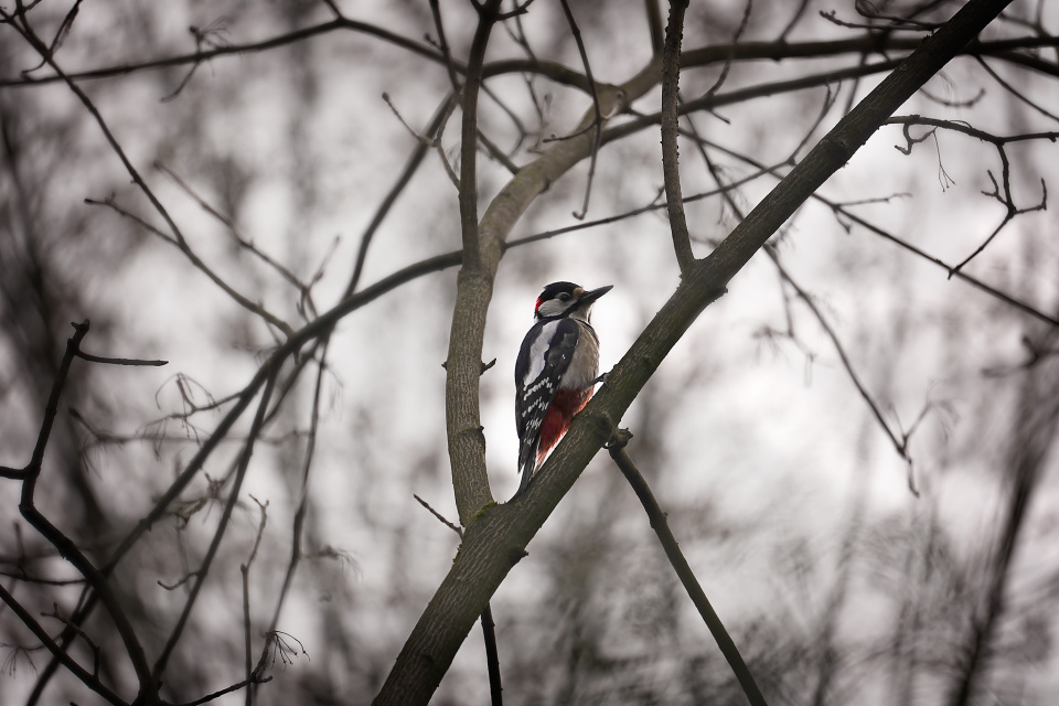 A grey and wet day