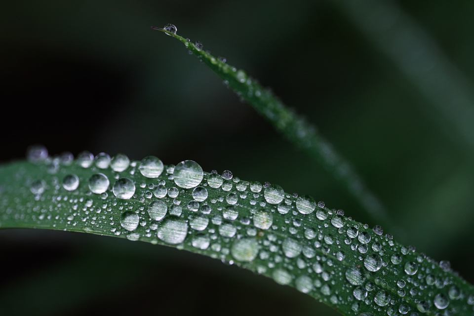 A wet Sunday