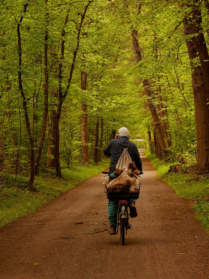 A bike ride