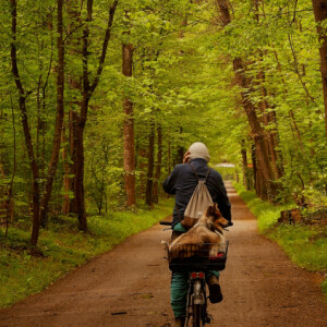 A bike ride