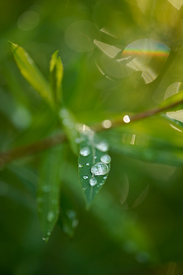 Sunshine after the storm