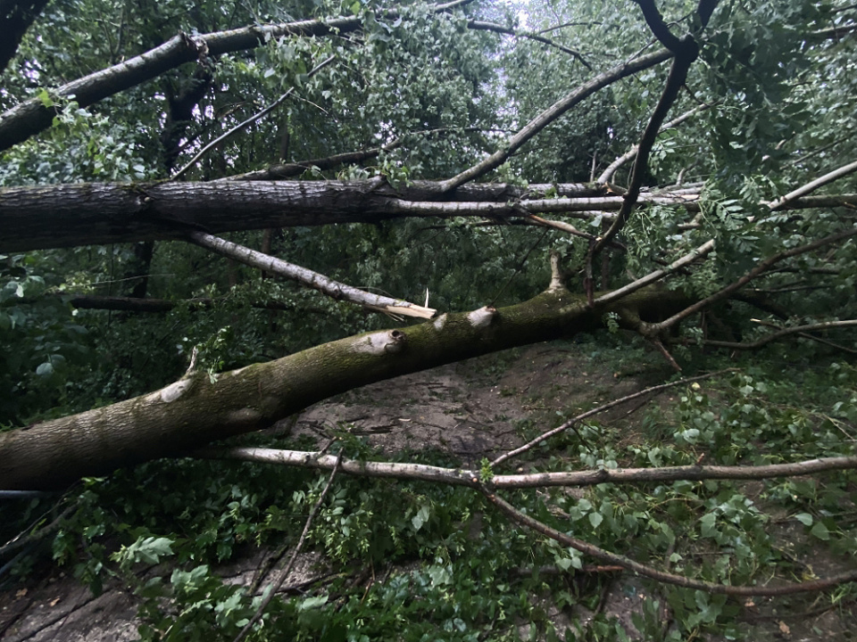 After the storm