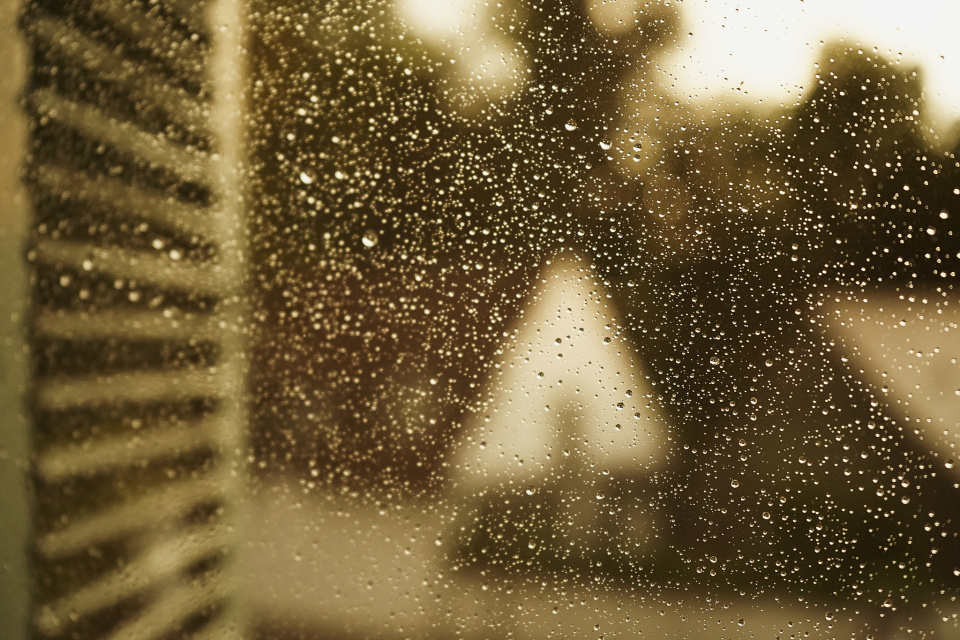 Rain, finally!