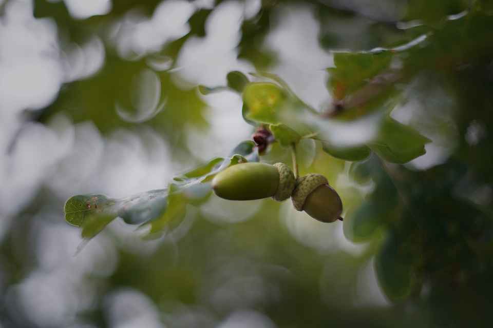 Autumn is around the corner