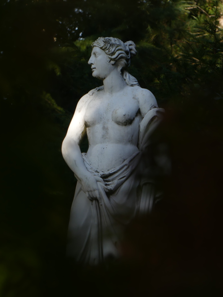 Walk in a park