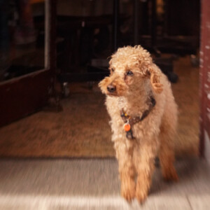 On guard