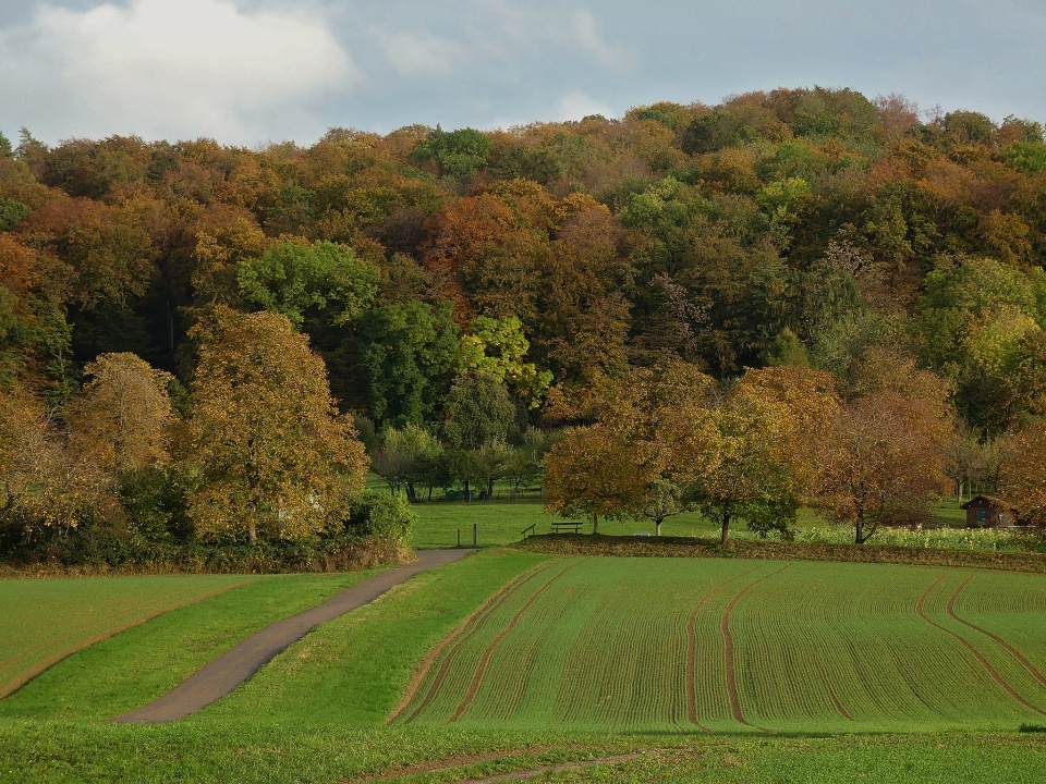 Autumn colors