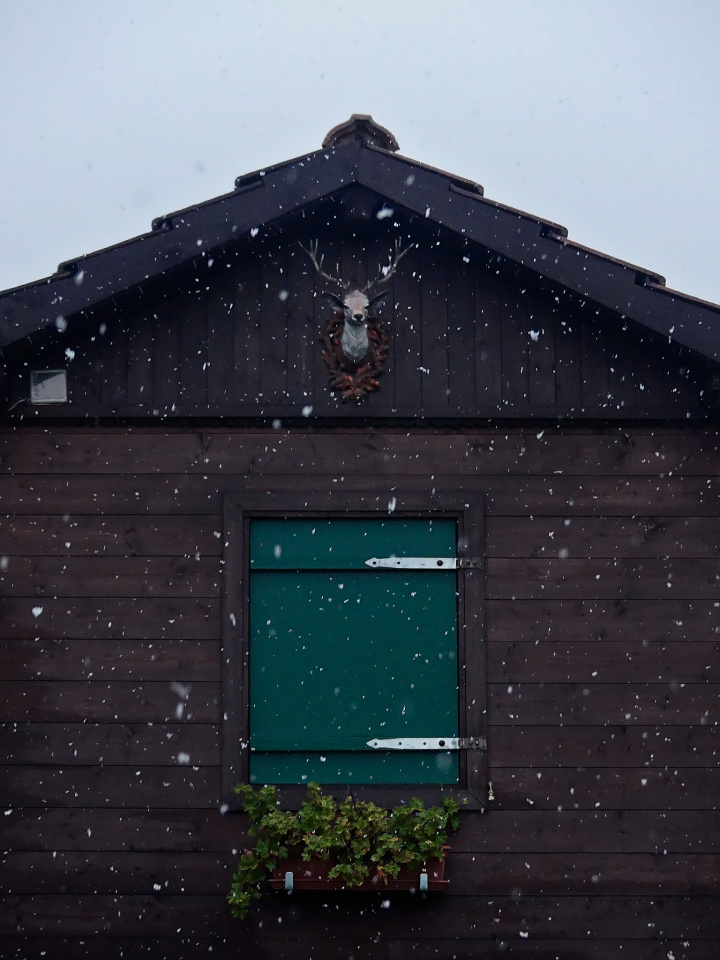 Let it snow