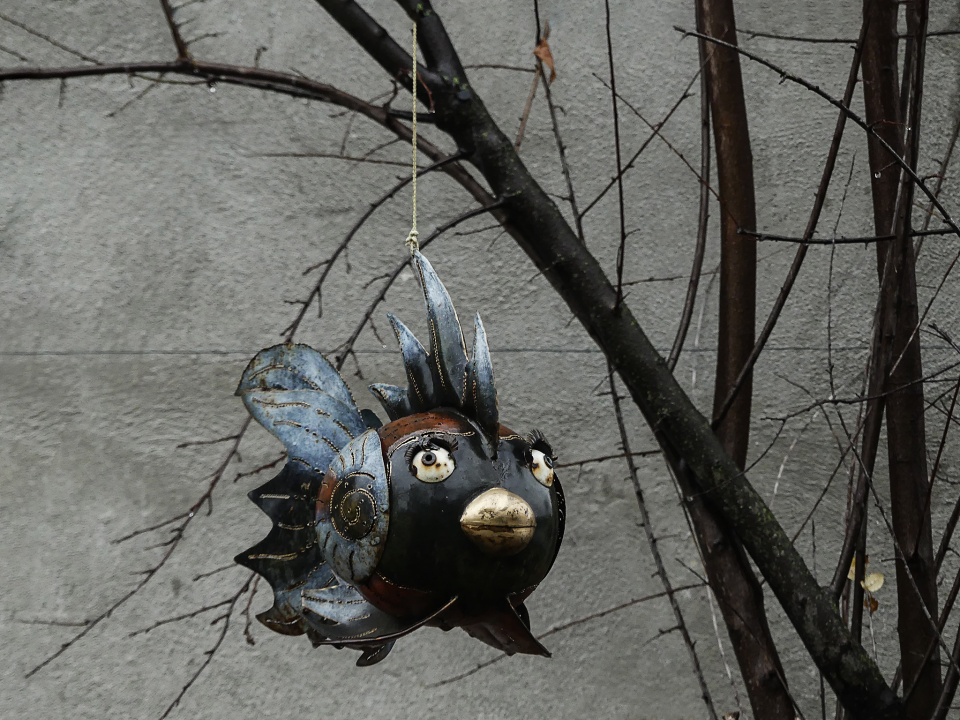 Unusual decoration