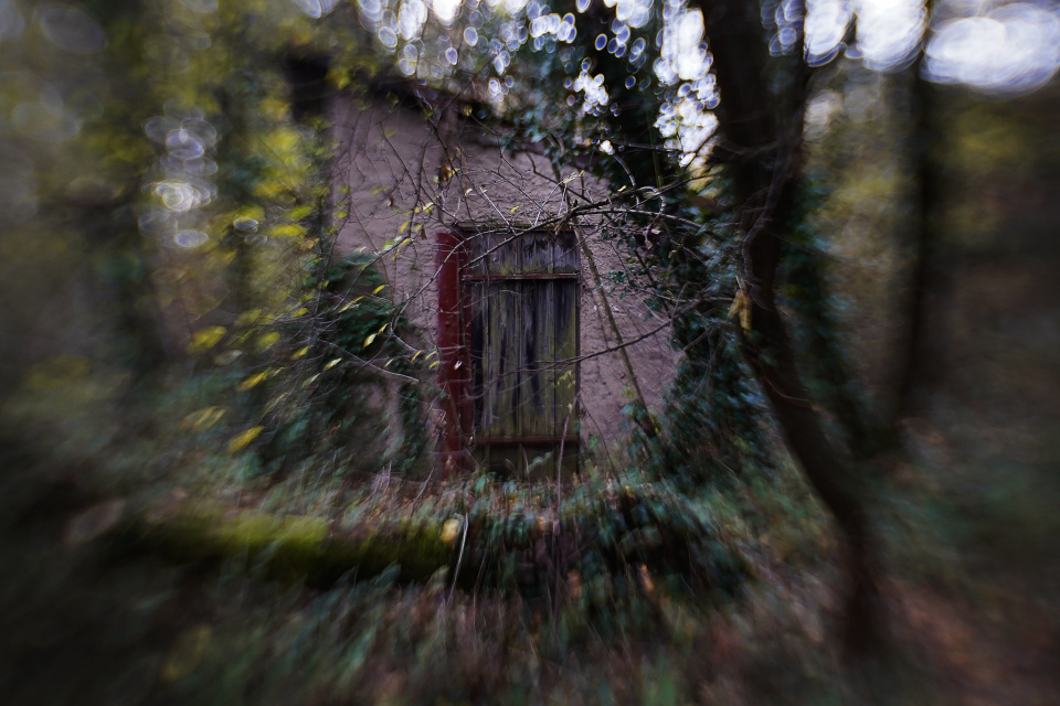 A shed in the woods