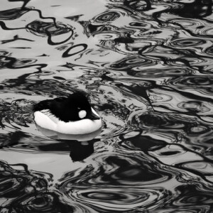 Black&white