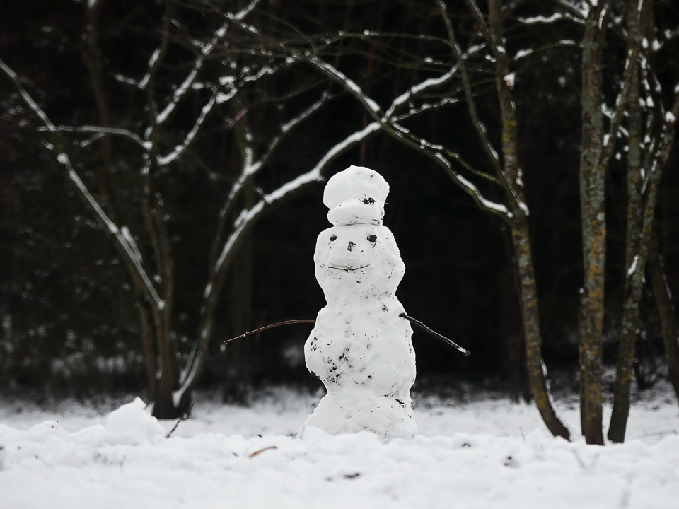 A snowman in the park