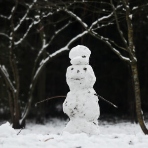 A snowman in the park