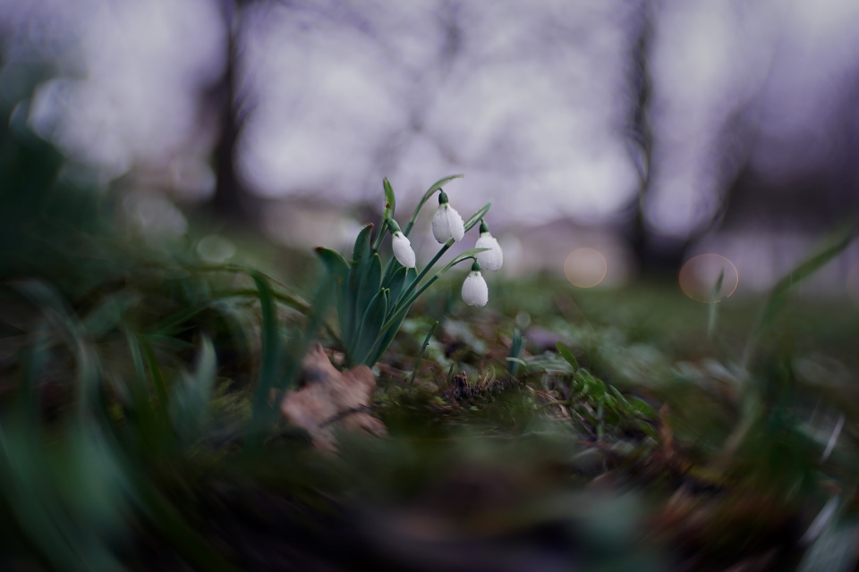 Hello spring!
