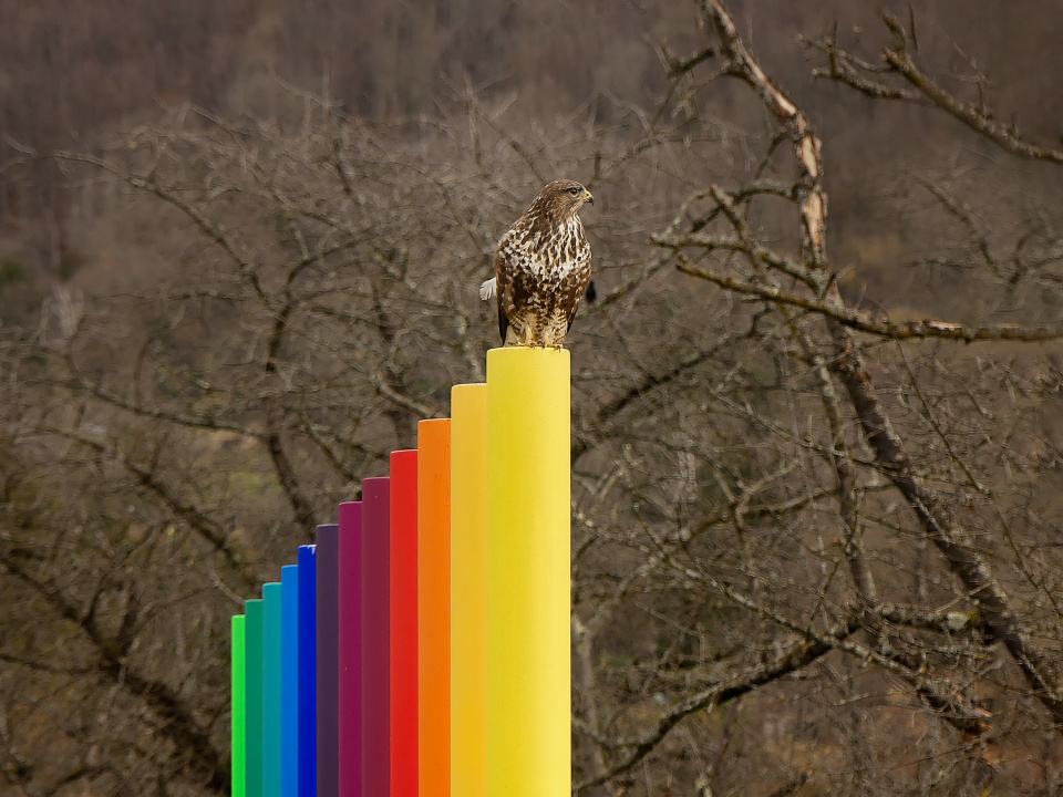 Colourful lookout