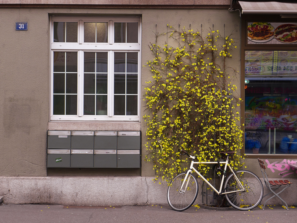 Spring in the city