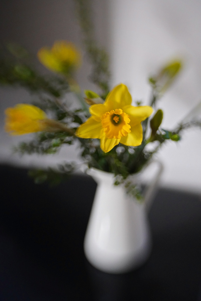 A bit of spring