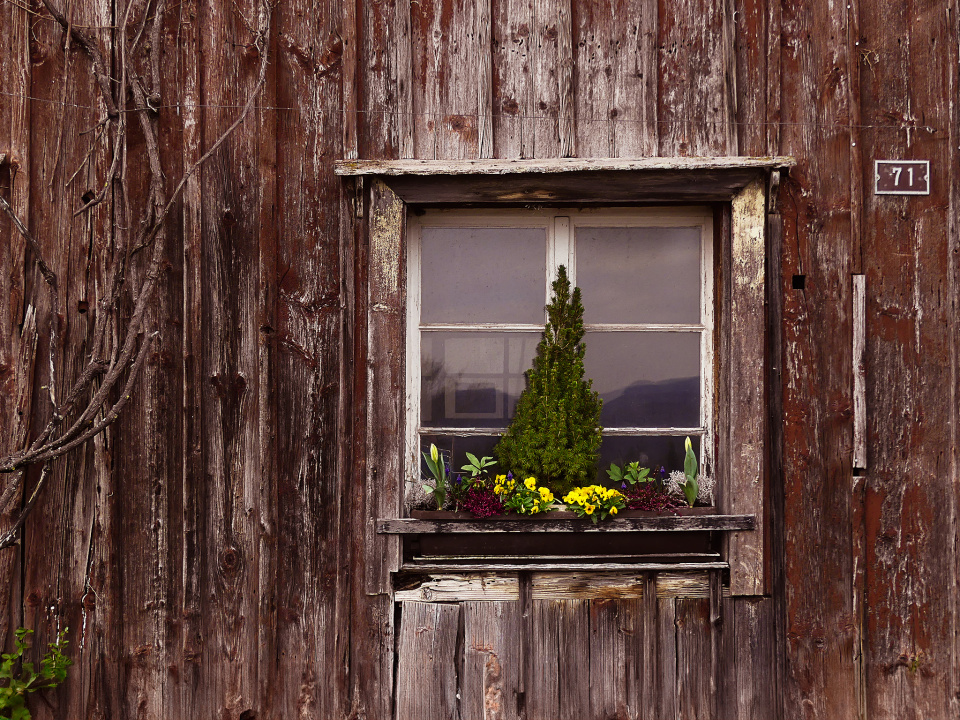 Spring window