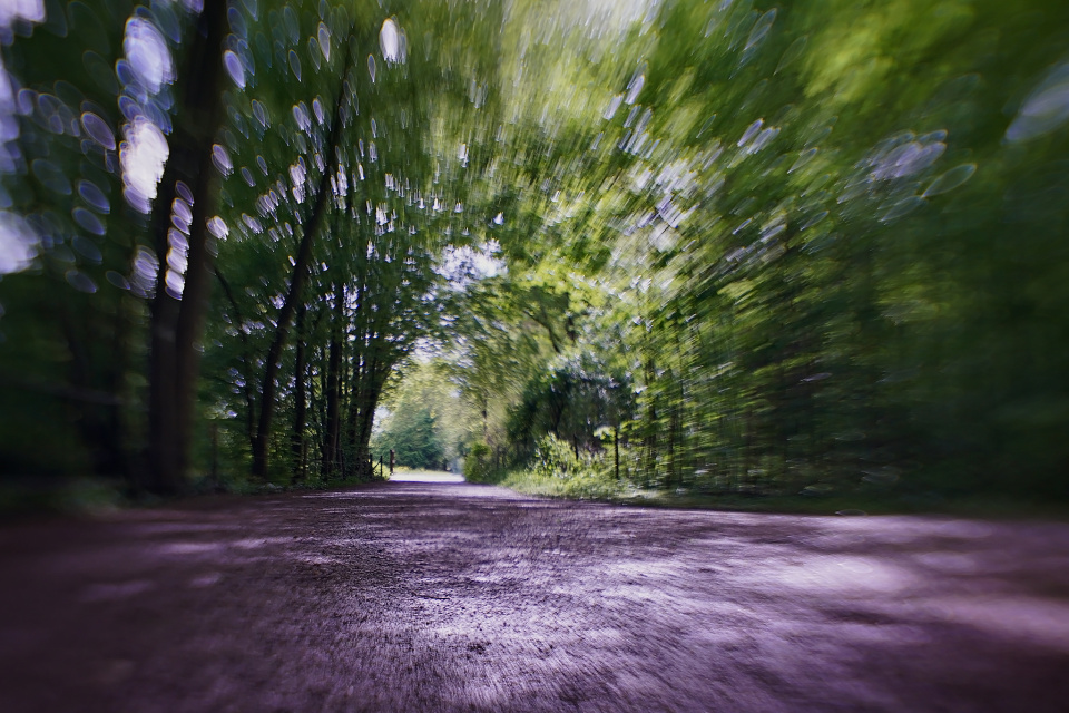 Burst of green