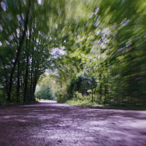 Burst of green