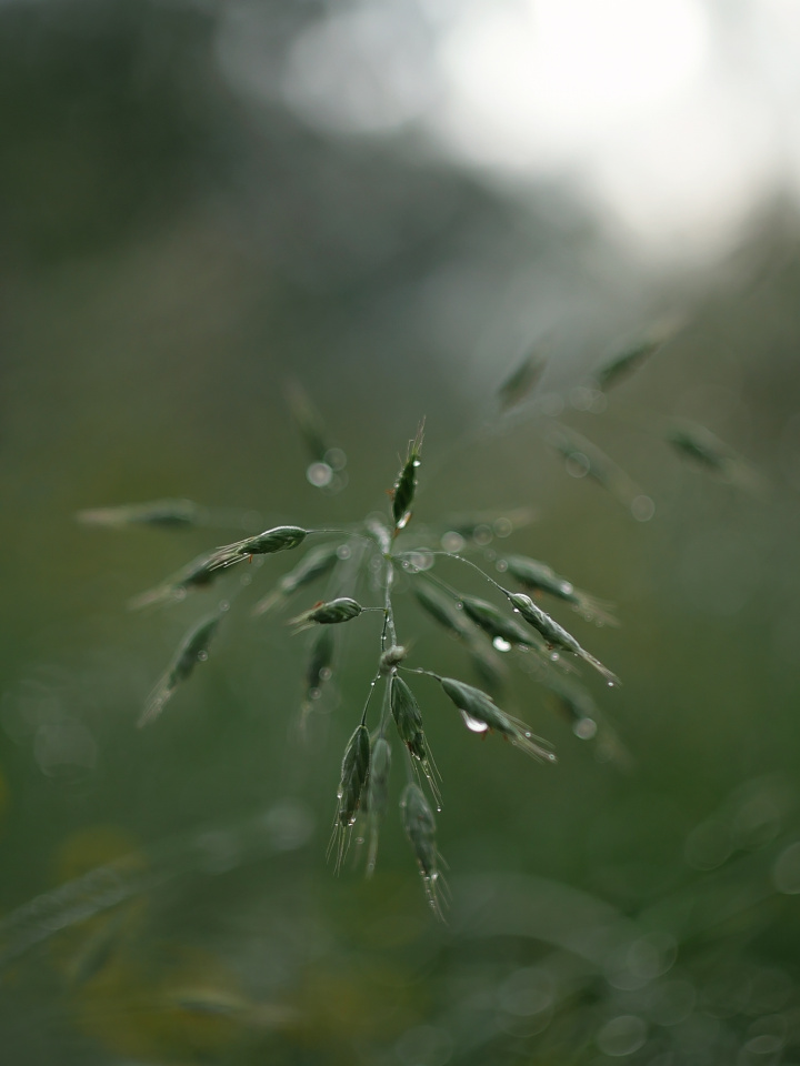 Rainy day