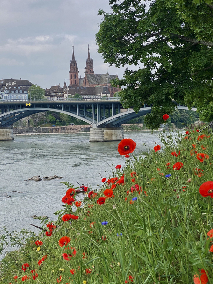 Basel
