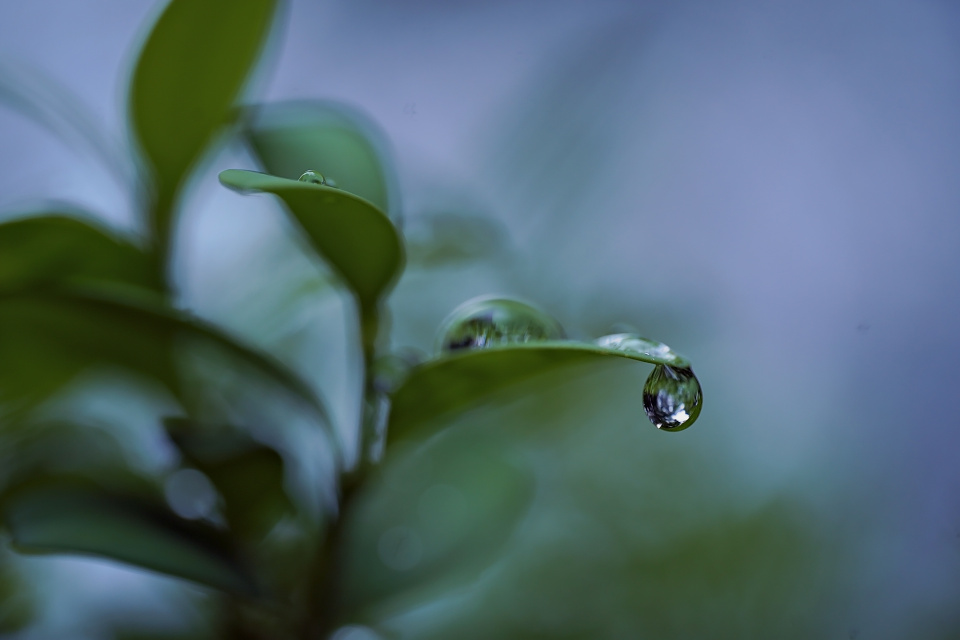 More rain