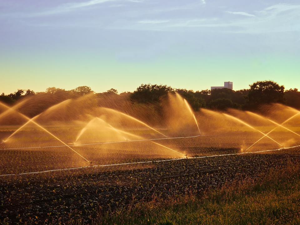 Field sprinklers