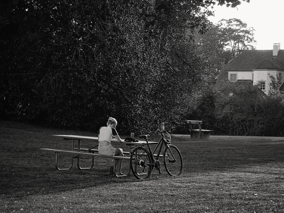 Alone in the park