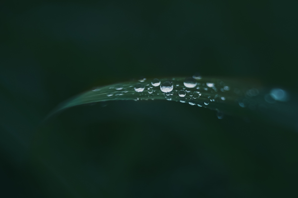 Long awaited rain