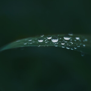 Long awaited rain