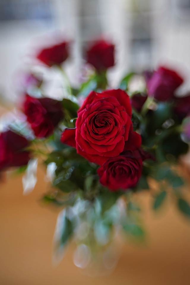 Birthday roses