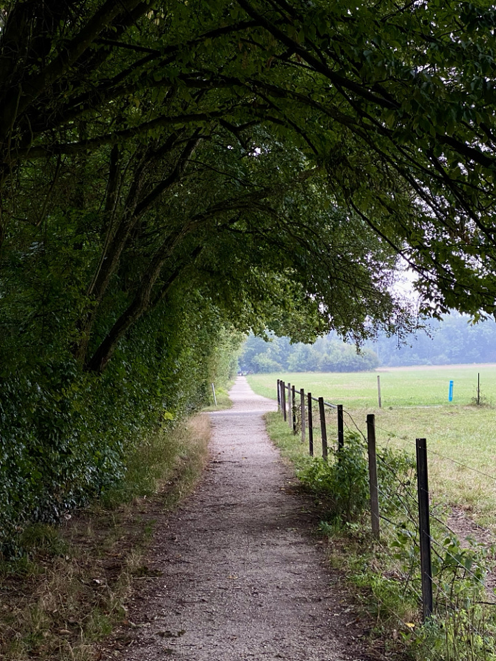 Morning run