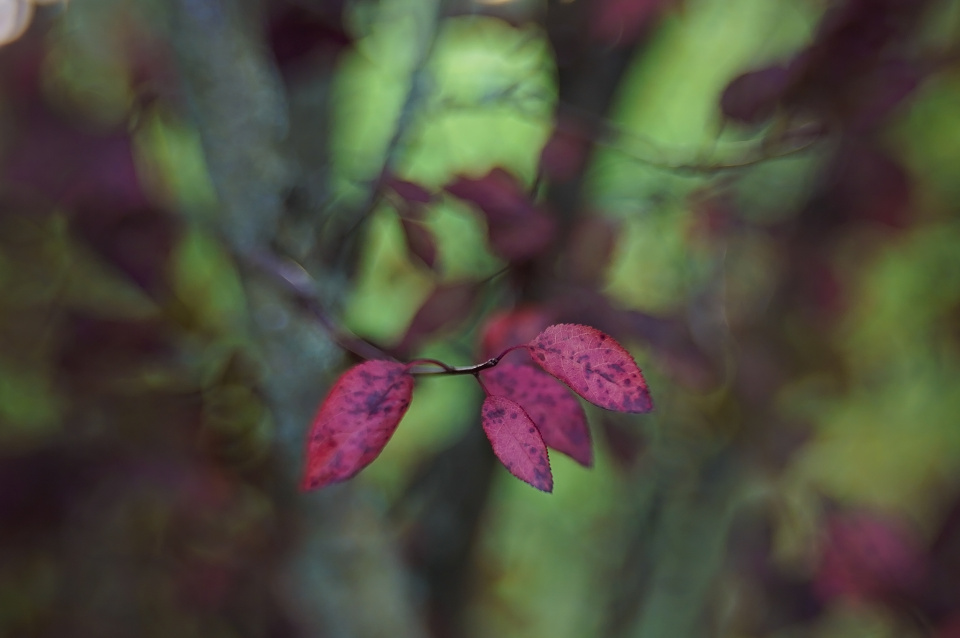Colourful autumn