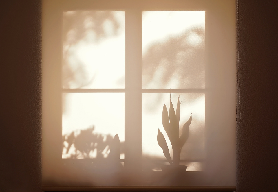 Shadows