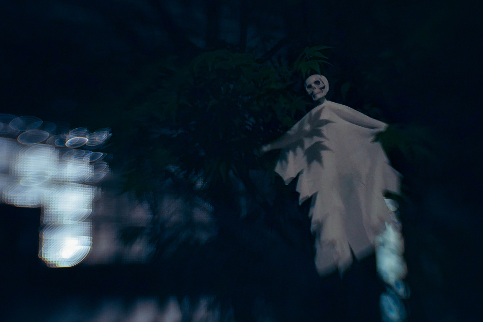 Boo!