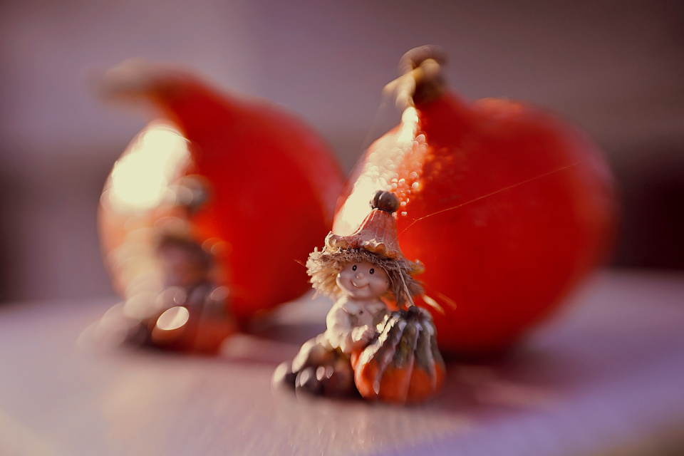 Autumn decorations