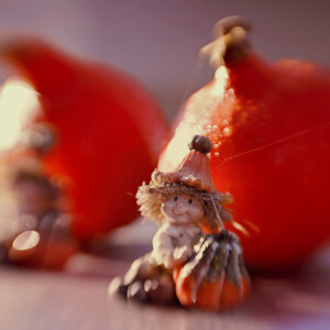 Autumn decorations