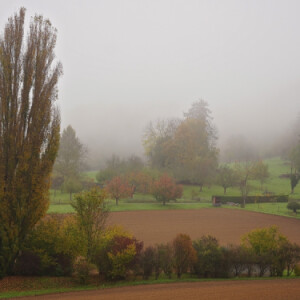 Moody mornings